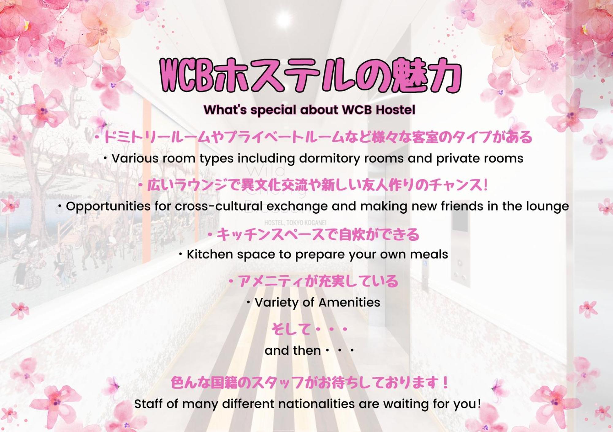 Wild Cherry Blossom-Hostel,Tokyo Koganei- Exterior photo